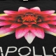 screen printed t shirt